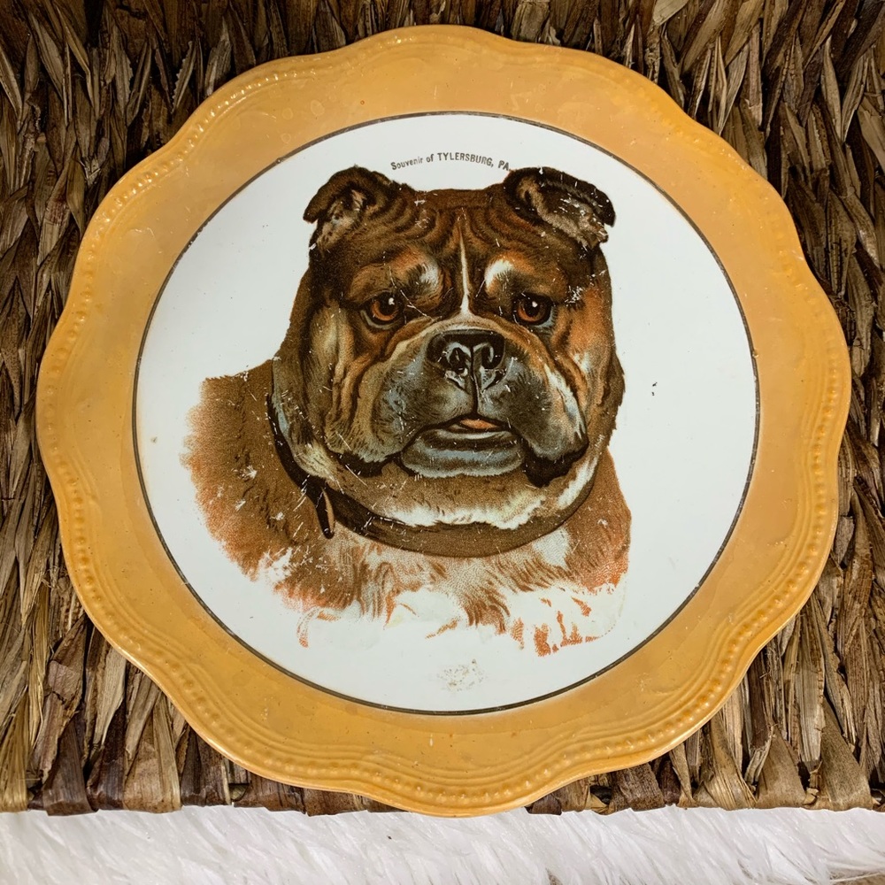 Vintage Souvenir Bulldog Dog Porcelain Scalloped Dish Tylersburg PA